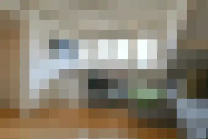 Stuyvesantstraat 12 Santpoort-Noord thumbnail 32