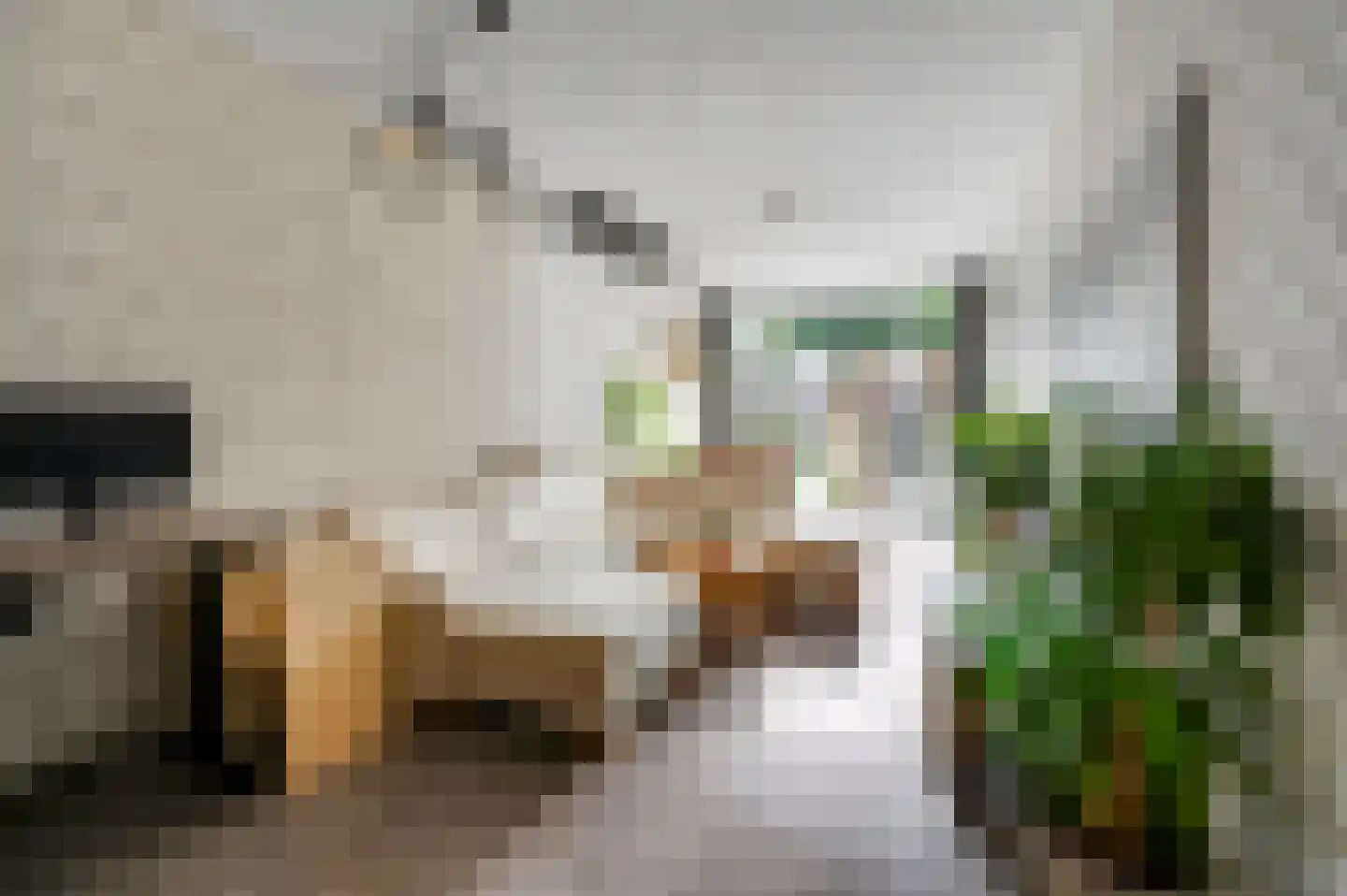 Stuyvesantstraat 127 Den Haag thumbnail 8