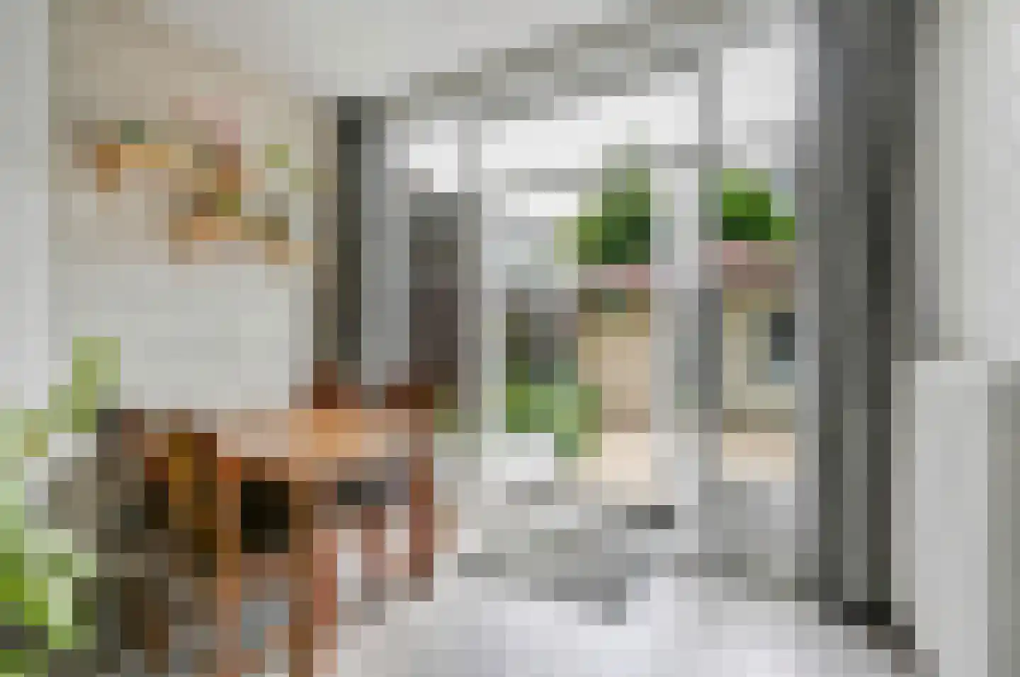 Stuyvesantstraat 127 Den Haag thumbnail 9