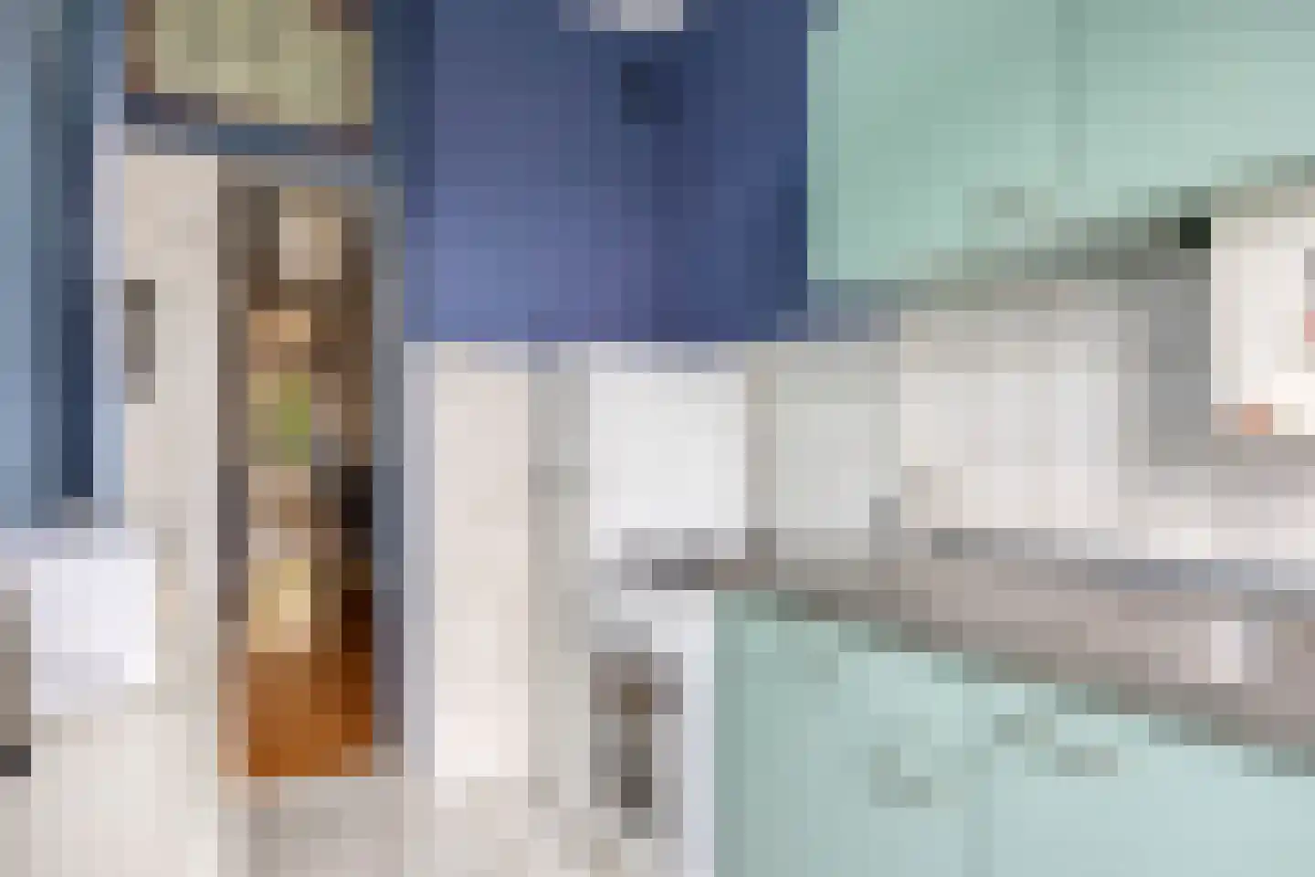 Stuyvesantstraat 148 Den Haag thumbnail 8