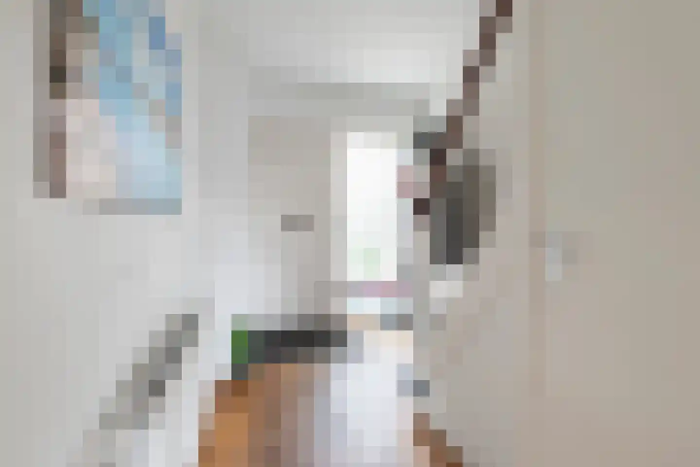 Stuyvesantstraat 18 Santpoort-Noord thumbnail 18
