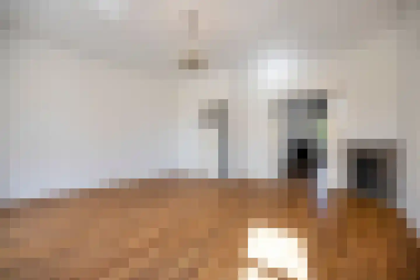 Stuyvesantstraat 2 Den Haag thumbnail 12