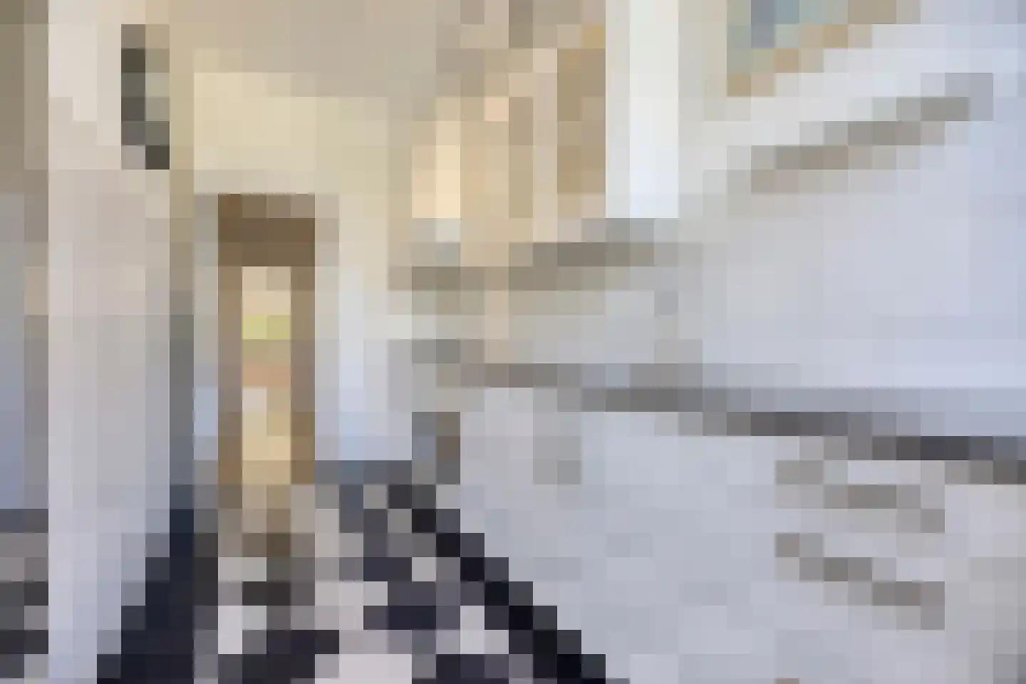 Stuyvesantstraat 2 Den Haag thumbnail 15