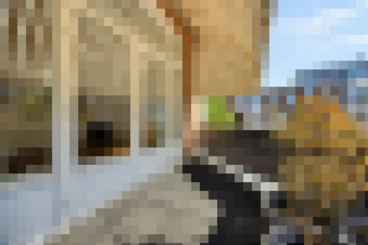 Stuyvesantstraat 2 Den Haag thumbnail 19