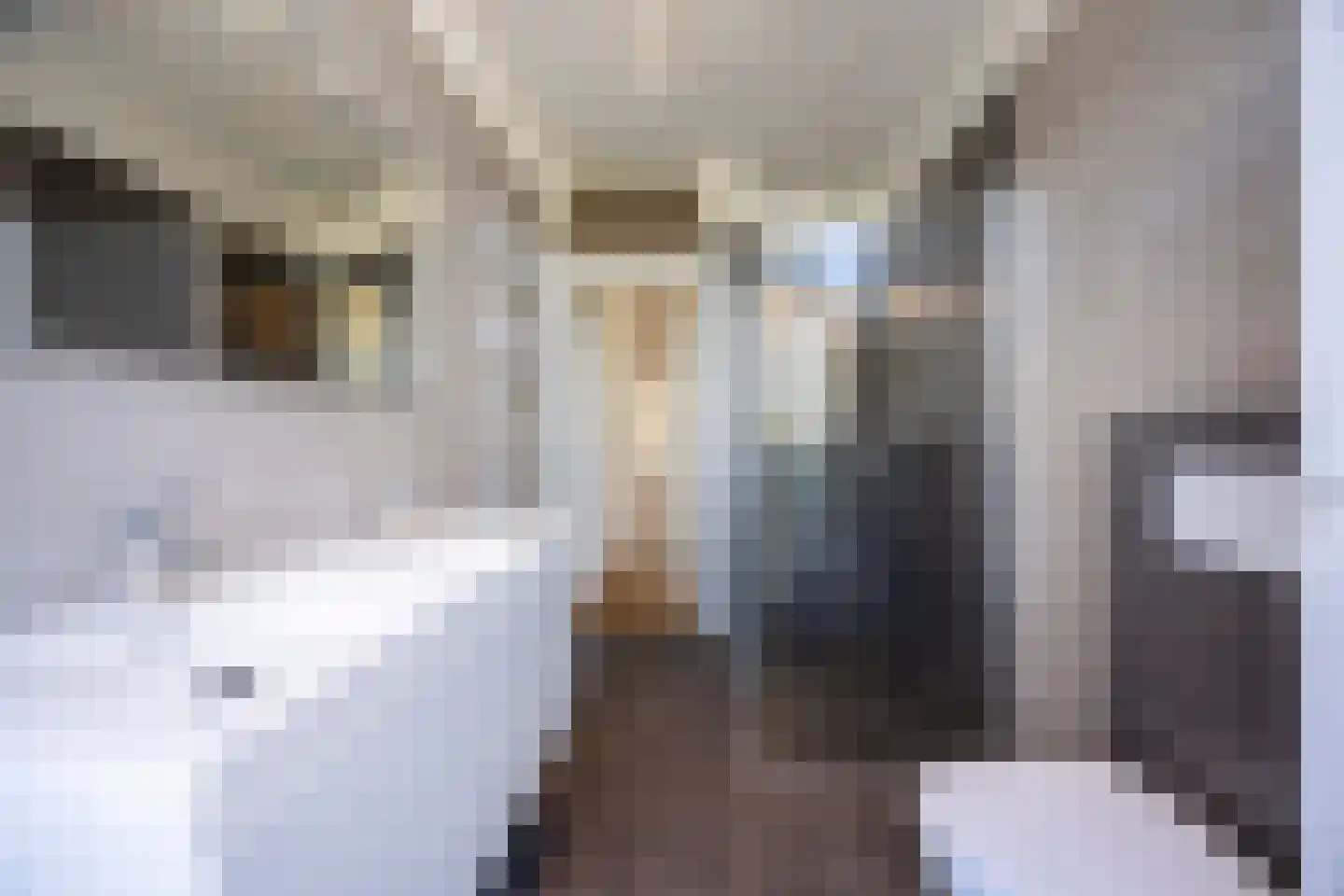 Stuyvesantstraat 2 Den Haag thumbnail 21