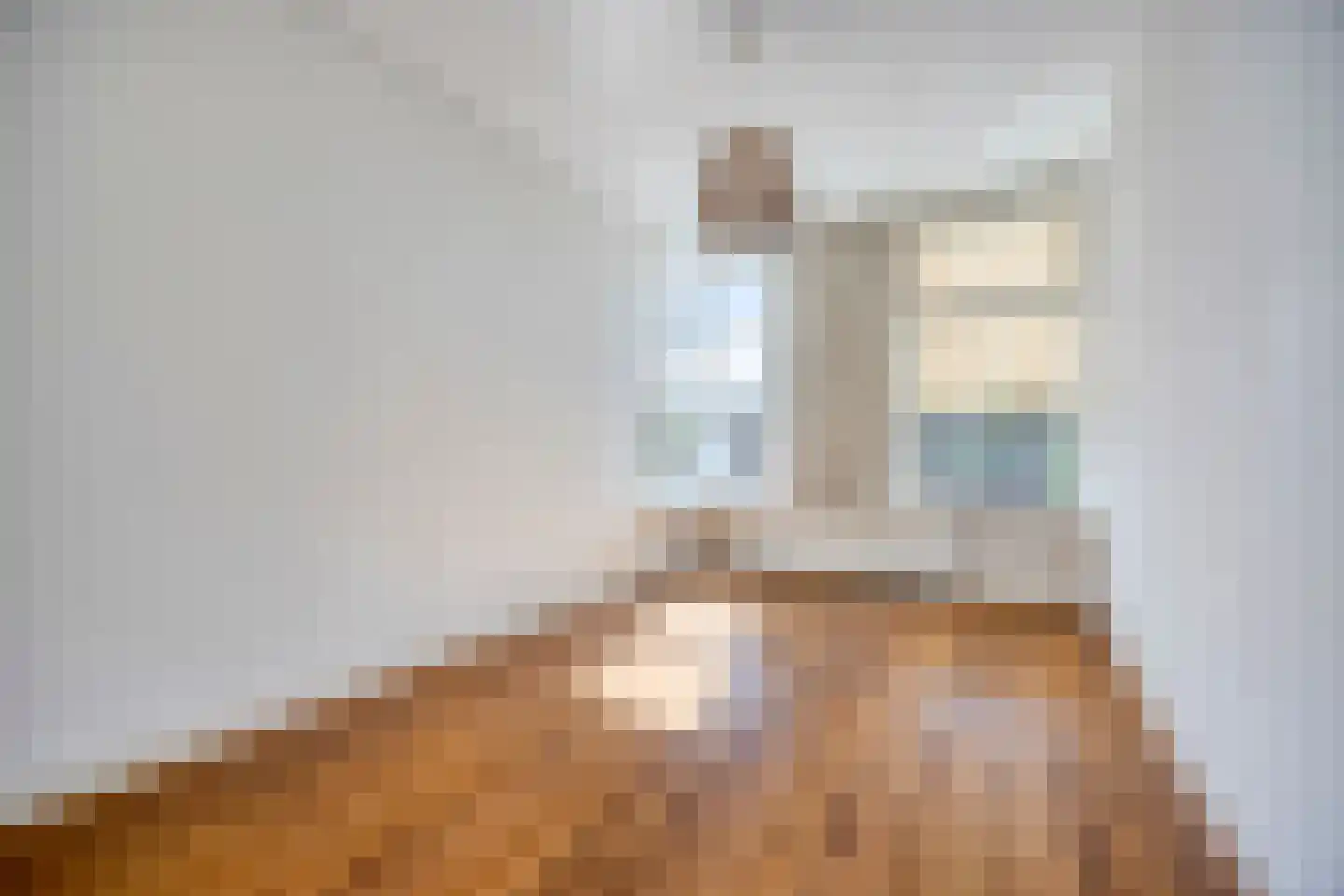 Stuyvesantstraat 2 Den Haag thumbnail 26