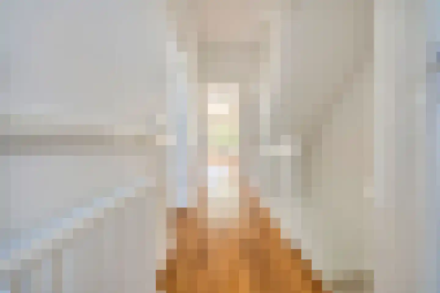 Stuyvesantstraat 2 Den Haag thumbnail 5