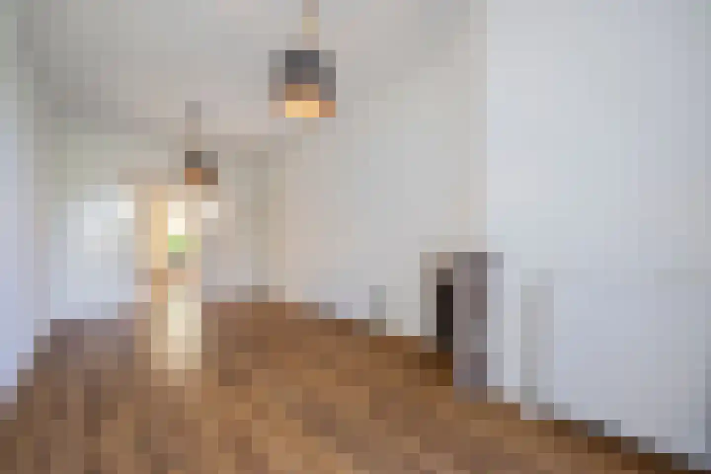 Stuyvesantstraat 2 Den Haag thumbnail 9