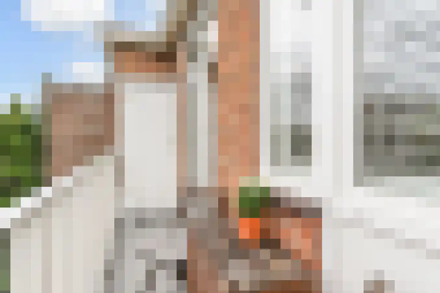 Stuyvesantstraat 219 Den Haag thumbnail 37