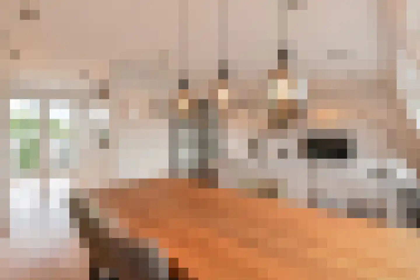 Stuyvesantstraat 219 Den Haag thumbnail 4