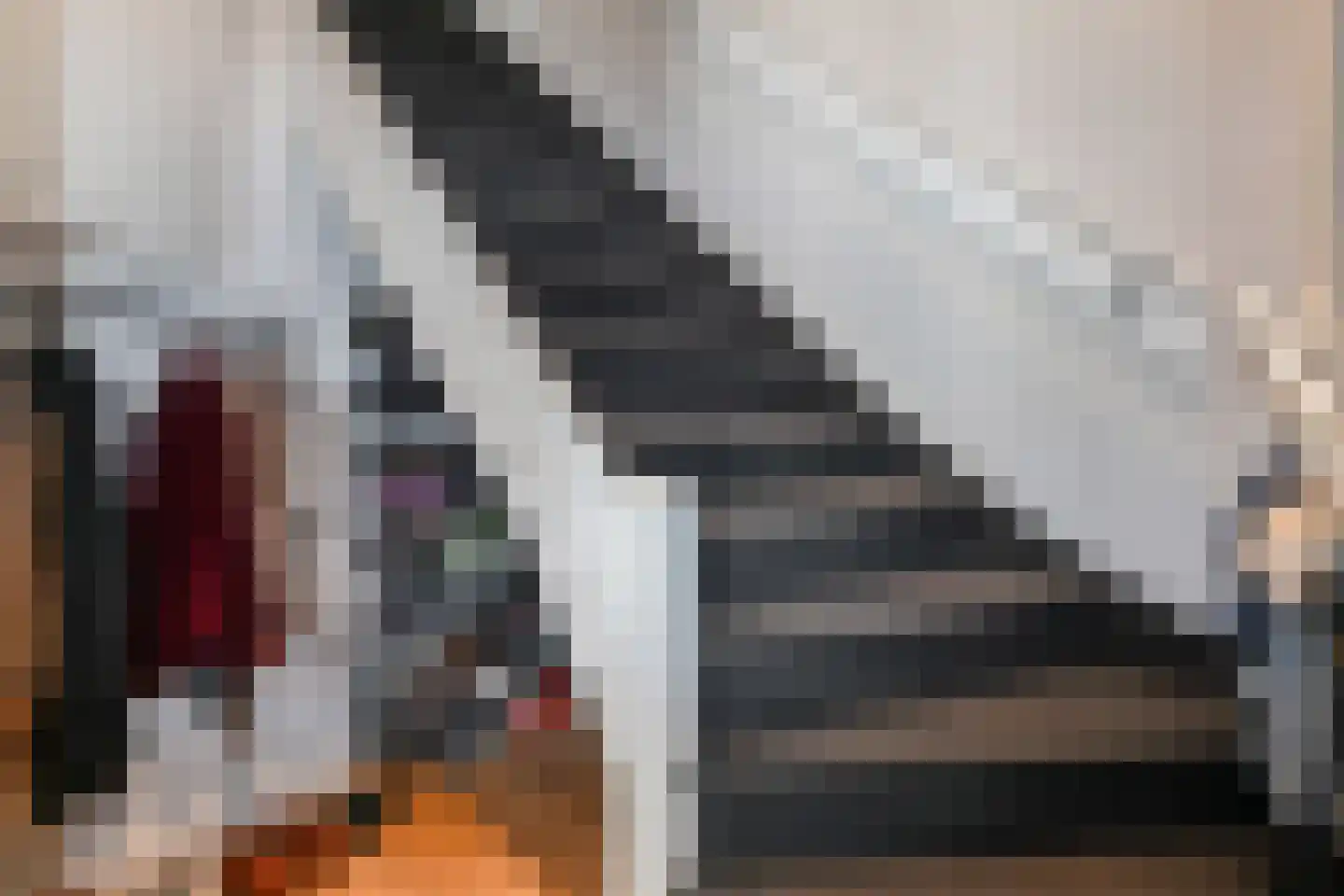 Stuyvesantstraat 219 Den Haag thumbnail 8