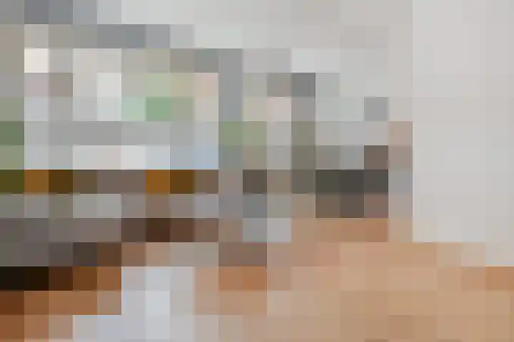 Stuyvesantstraat 237 Den Haag thumbnail 46