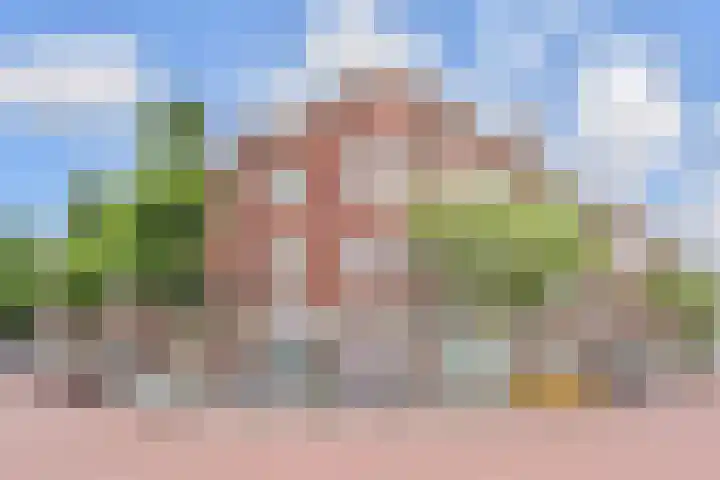 Stuyvesantstraat 237 Den Haag thumbnail 6