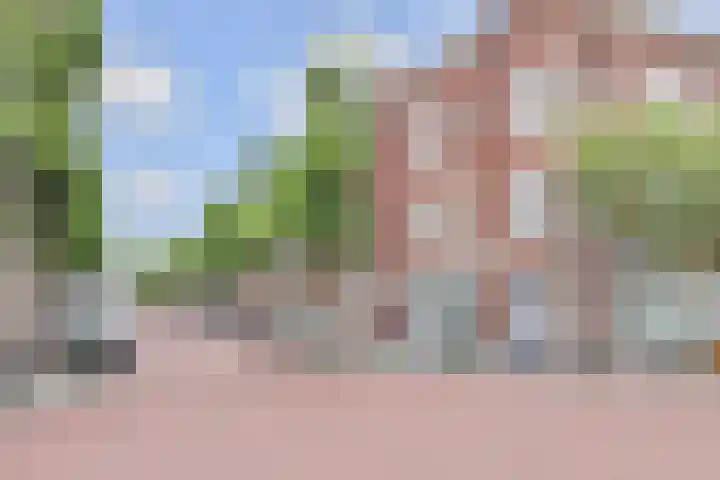 Stuyvesantstraat 237 Den Haag thumbnail 7