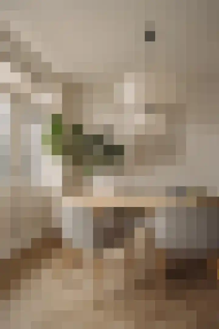 Stuyvesantstraat 25 2 Amsterdam thumbnail 13