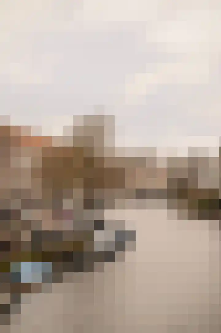 Stuyvesantstraat 25 2 Amsterdam thumbnail 25