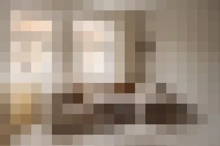 Stuyvesantstraat 25 2 Amsterdam thumbnail 7