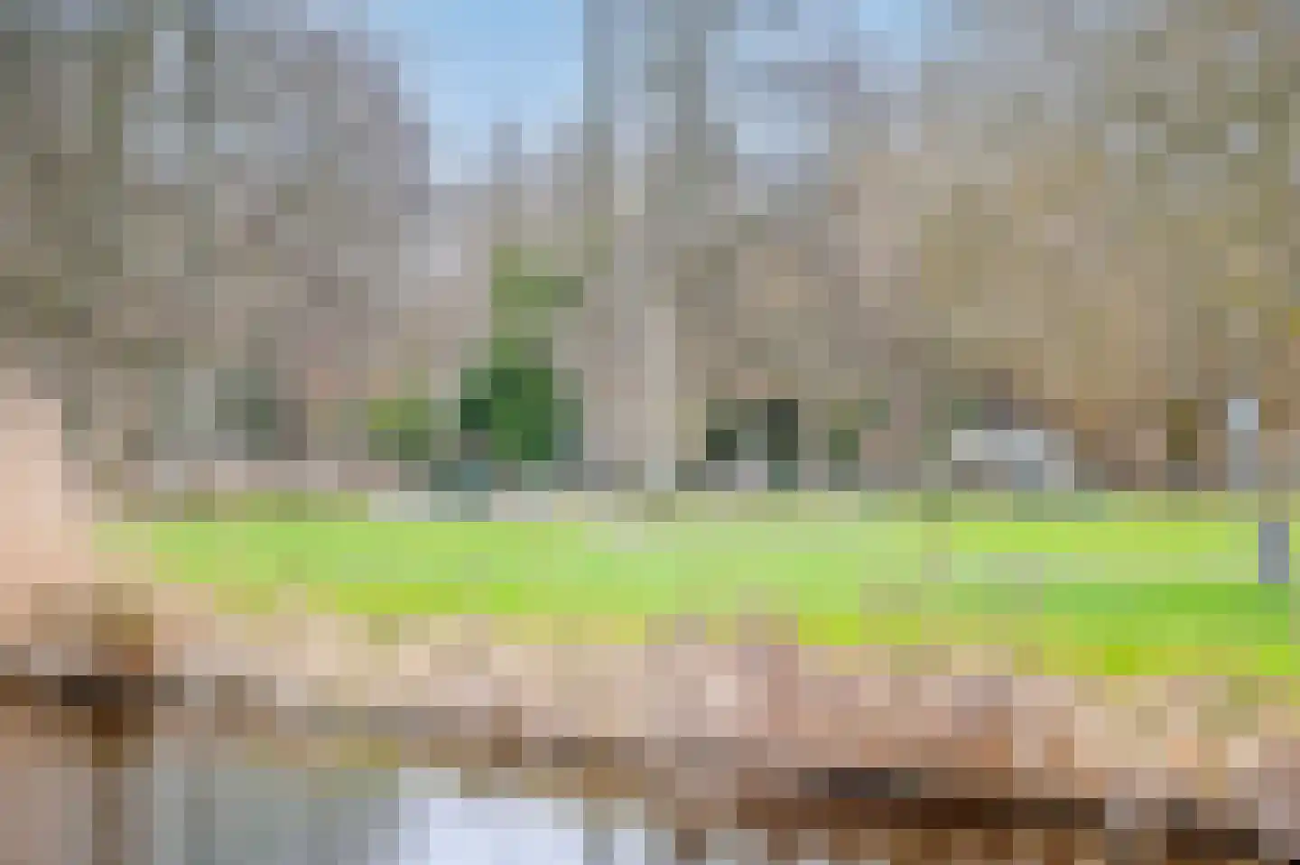 Stuyvesantstraat 278 Den Haag thumbnail 42