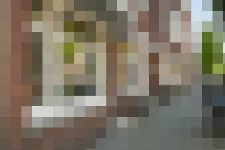 Stuyvesantstraat 283 Den Haag thumbnail 5