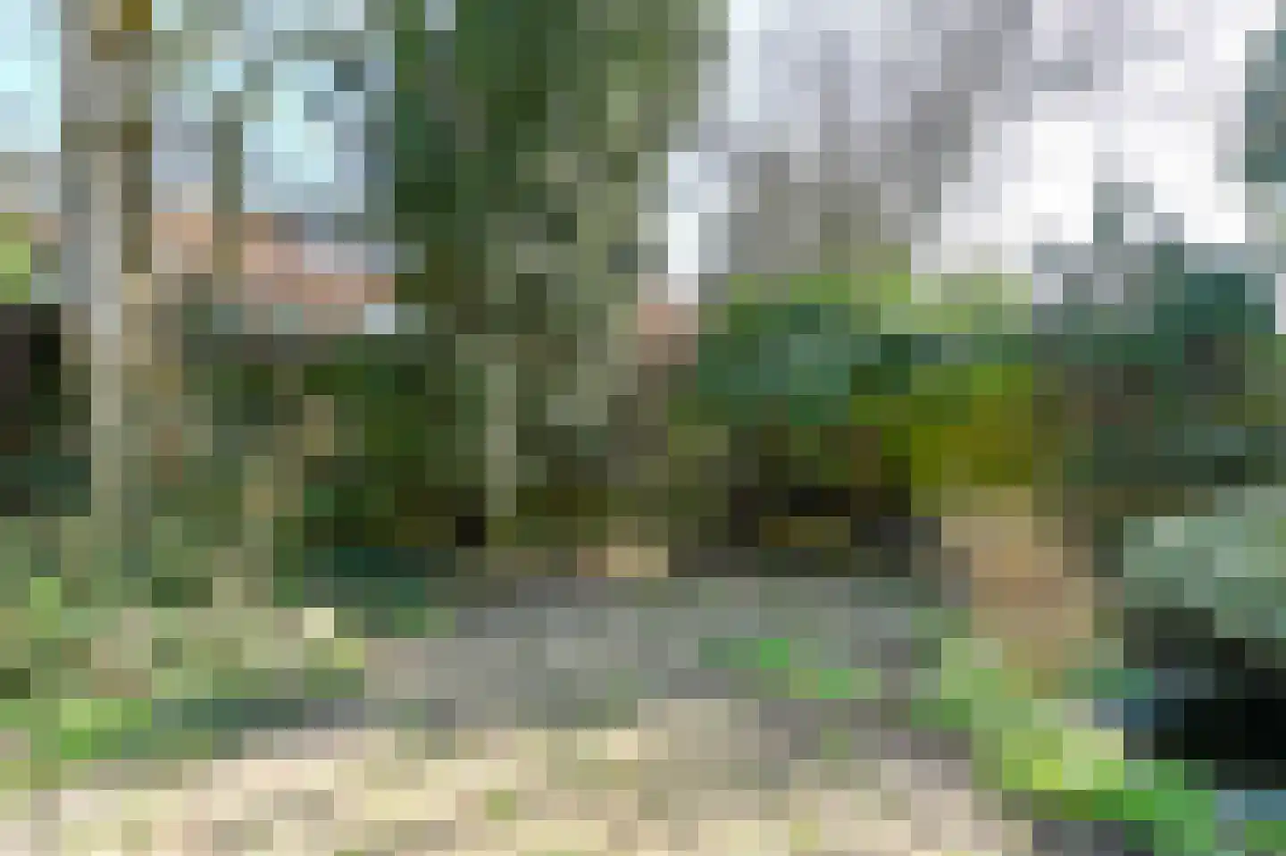 Stuyvesantstraat 29 Santpoort-Noord thumbnail 4