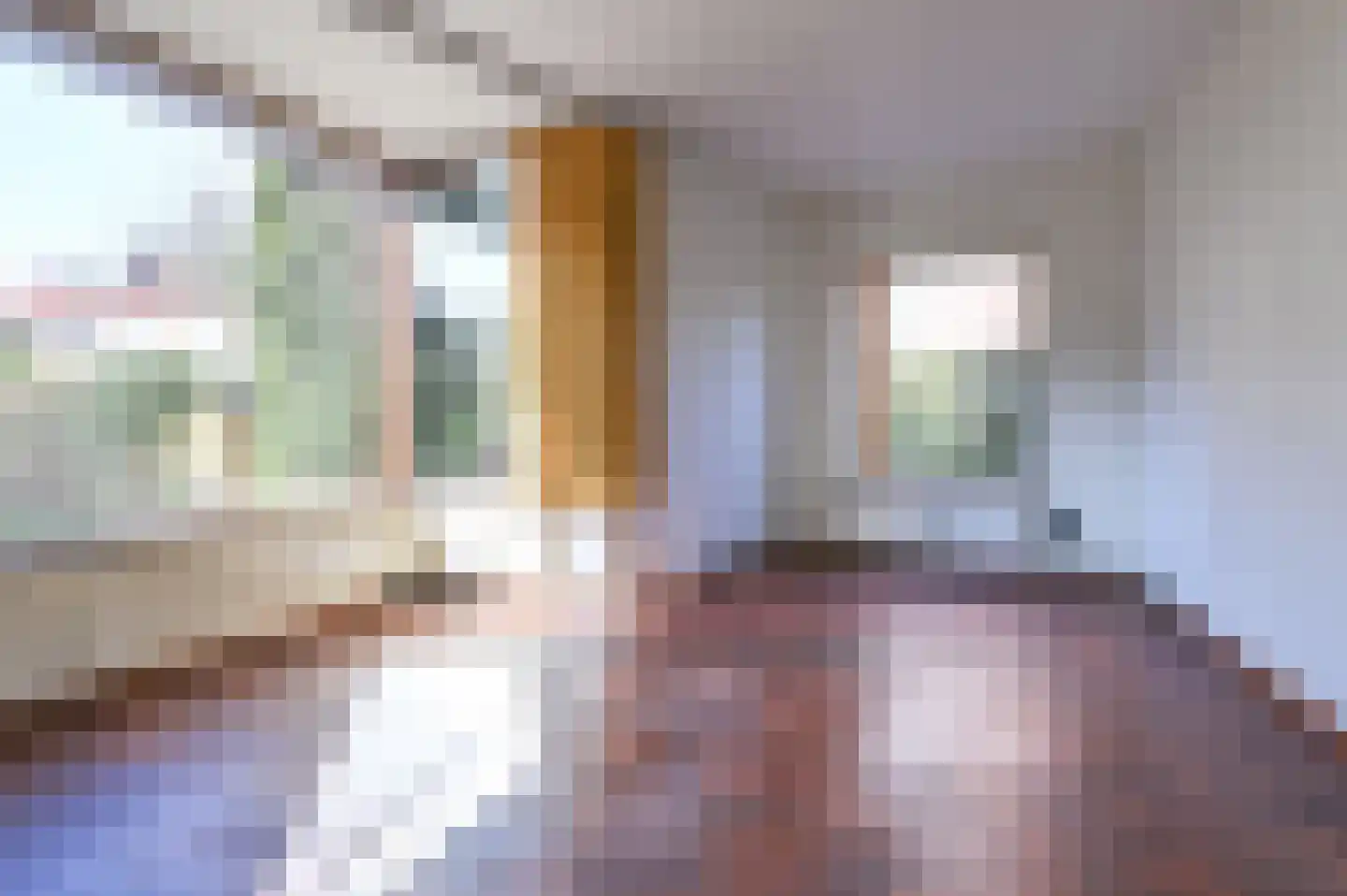 Stuyvesantstraat 29 Santpoort-Noord thumbnail 6