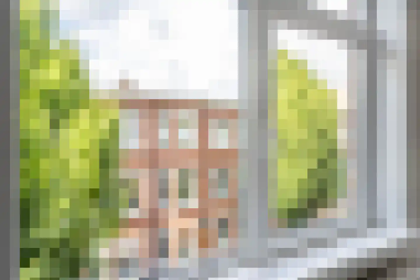 Stuyvesantstraat 291 Den Haag thumbnail 16