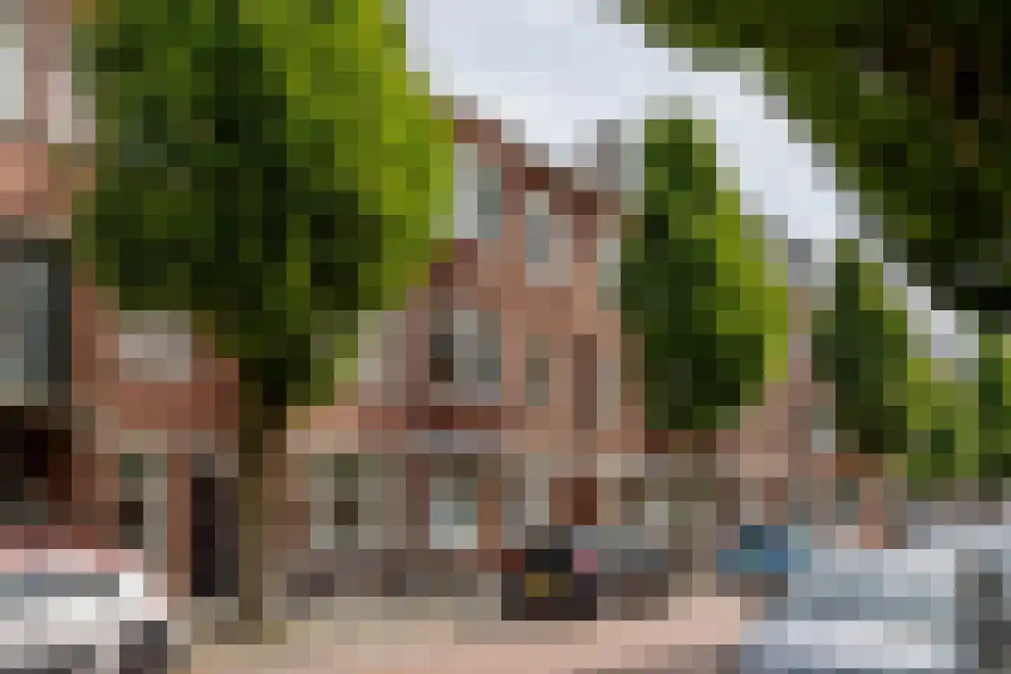 Stuyvesantstraat 291 Den Haag thumbnail 7