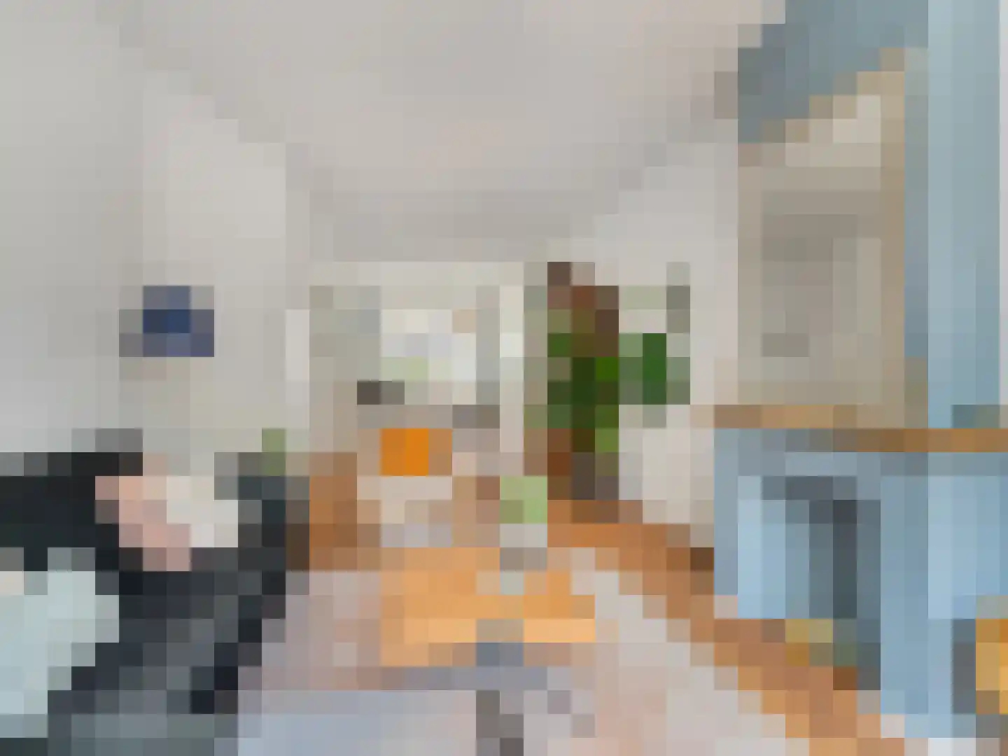 Stuyvesantstraat 294 Den Haag thumbnail 6