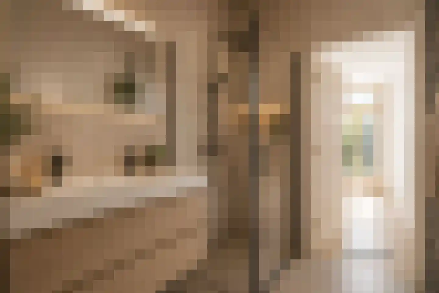 Stuyvesantstraat 297 Den Haag thumbnail 20