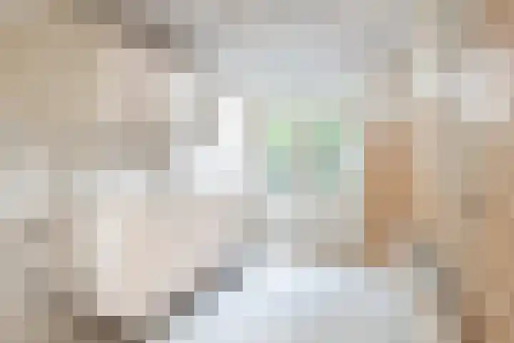 Stuyvesantstraat 31 1 Amsterdam thumbnail 5