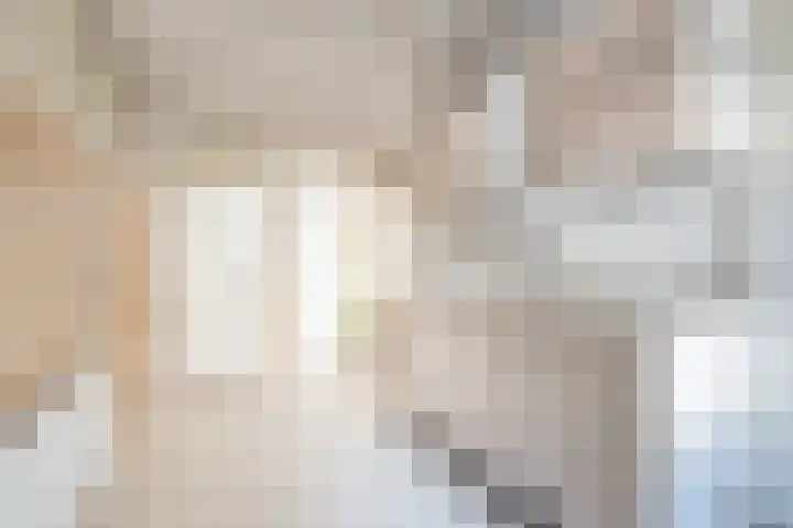 Stuyvesantstraat 31 1 Amsterdam thumbnail 6