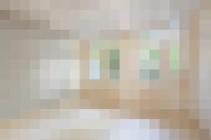 Stuyvesantstraat 31 1 Amsterdam thumbnail 7