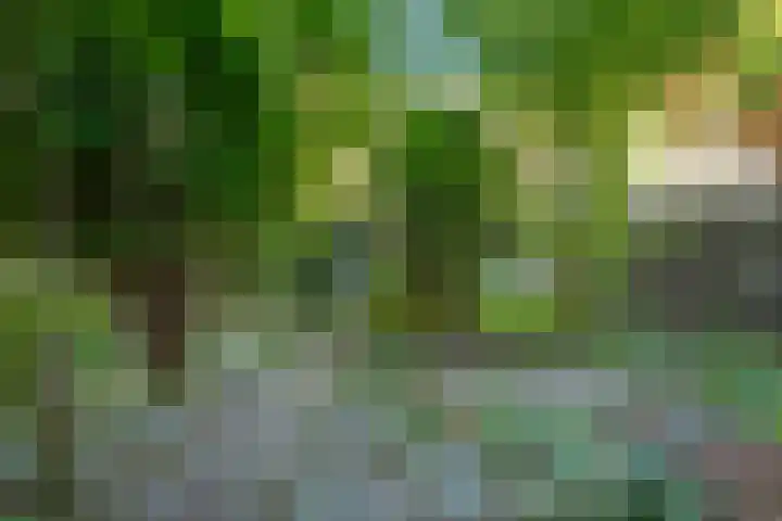 Stuyvesantstraat 31 1 Amsterdam thumbnail 9