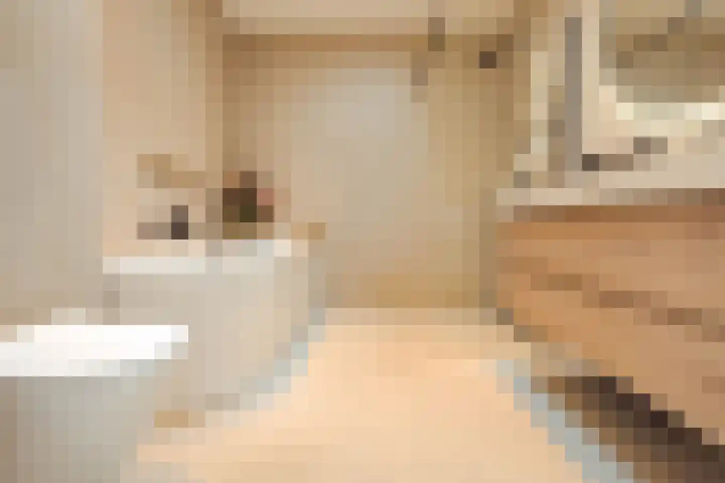 Stuyvesantstraat 315 Den Haag thumbnail 6