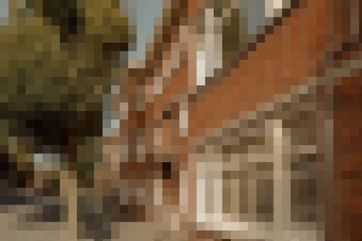 Stuyvesantstraat 315 Den Haag thumbnail 60