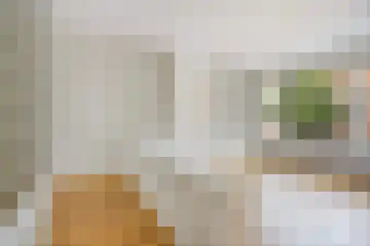 Stuyvesantstraat 335 Den Haag thumbnail 6
