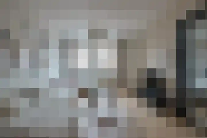 Stuyvesantstraat 34 Den Haag thumbnail 4