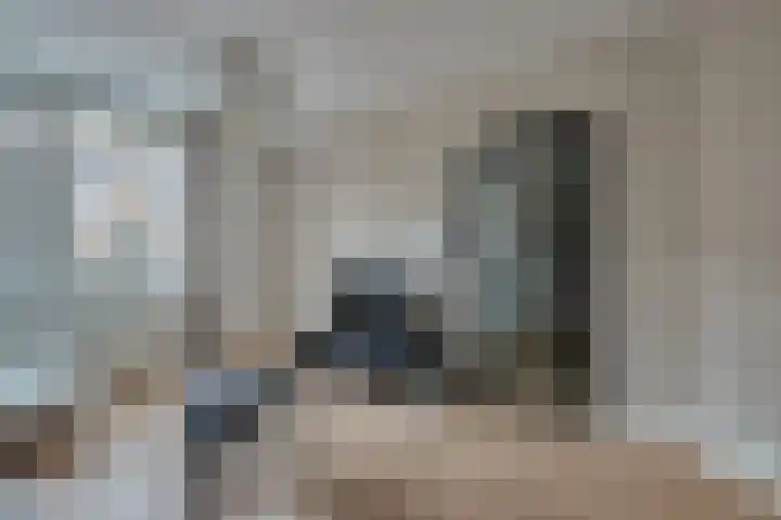 Stuyvesantstraat 34 Den Haag thumbnail 5