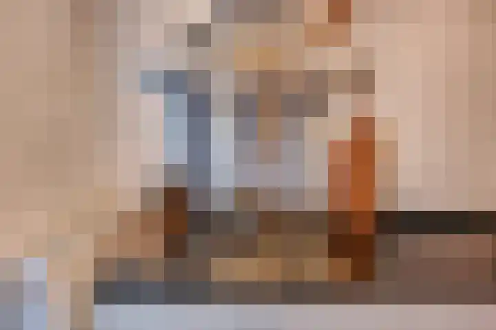 Stuyvesantstraat 34 Den Haag thumbnail 8