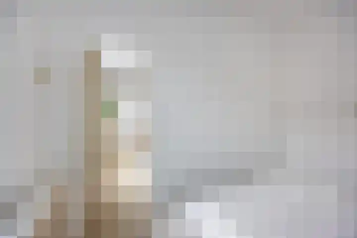 Stuyvesantstraat 34 H Amsterdam thumbnail 7