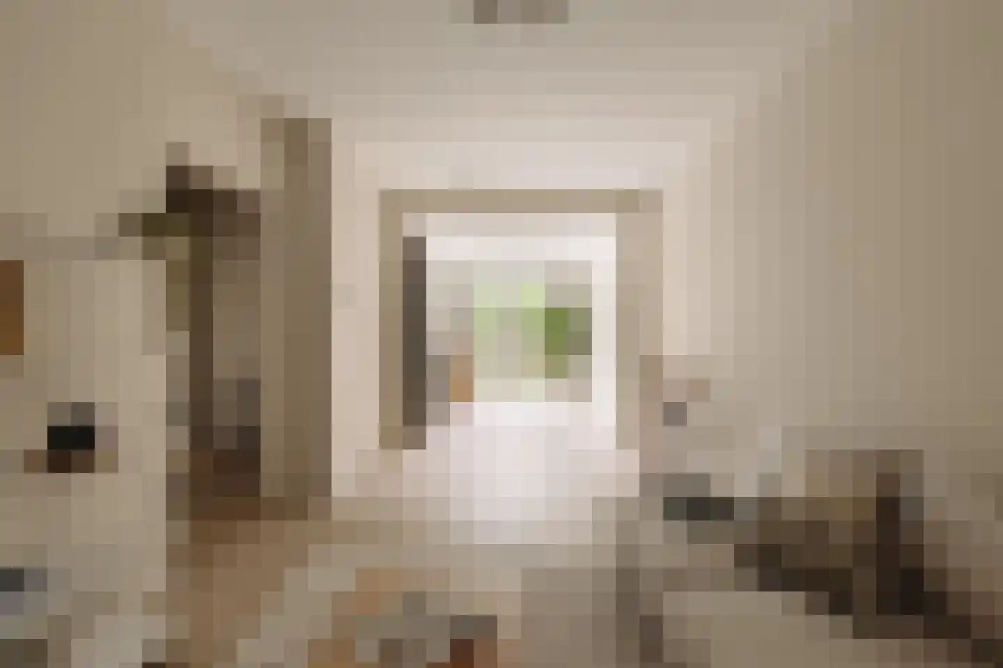 Stuyvesantstraat 345 Den Haag thumbnail 6