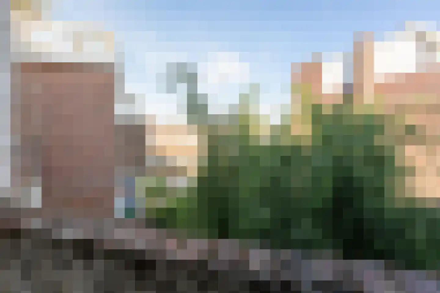 Stuyvesantstraat 375 Den Haag thumbnail 26