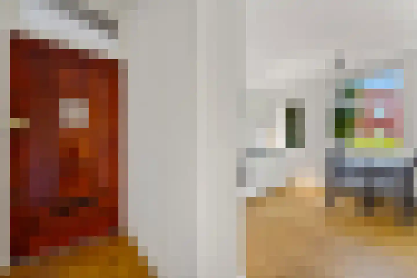 Stuyvesantstraat 377 Den Haag thumbnail 7