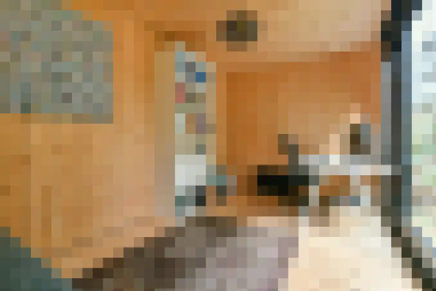 Stuyvesantstraat 41 H Amsterdam thumbnail 24
