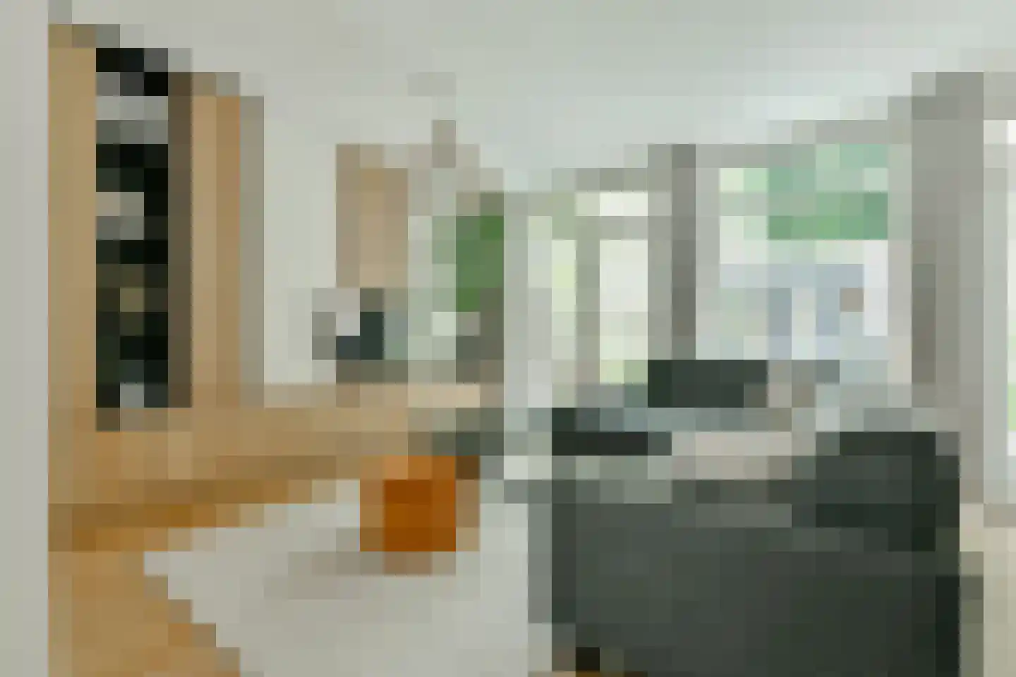 Stuyvesantstraat 41 H Amsterdam thumbnail 5