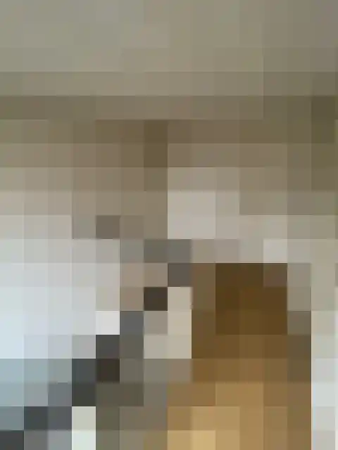 Stuyvesantstraat 46 Amsterdam thumbnail 5