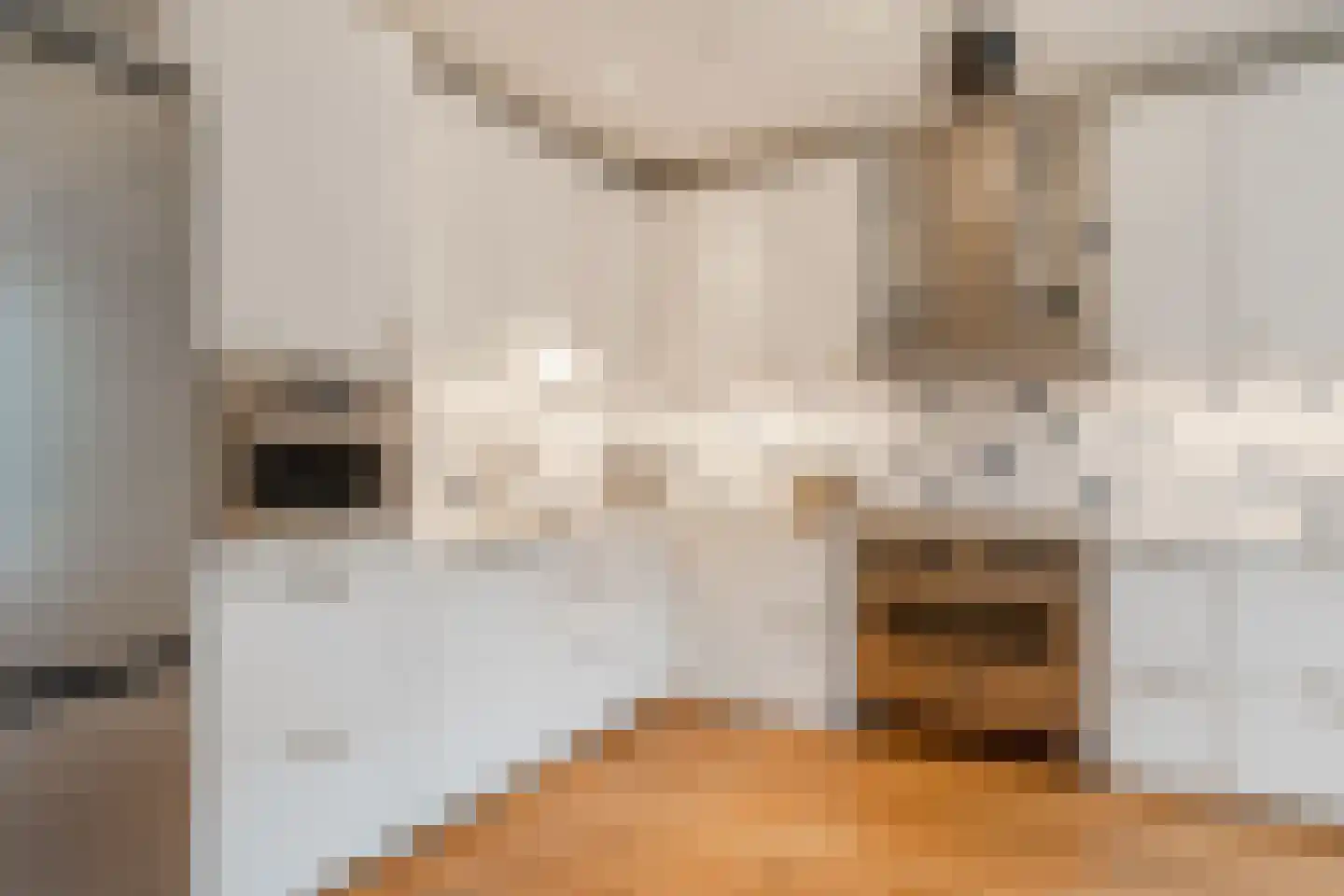 Stuyvesantstraat 47 H Amsterdam thumbnail 17