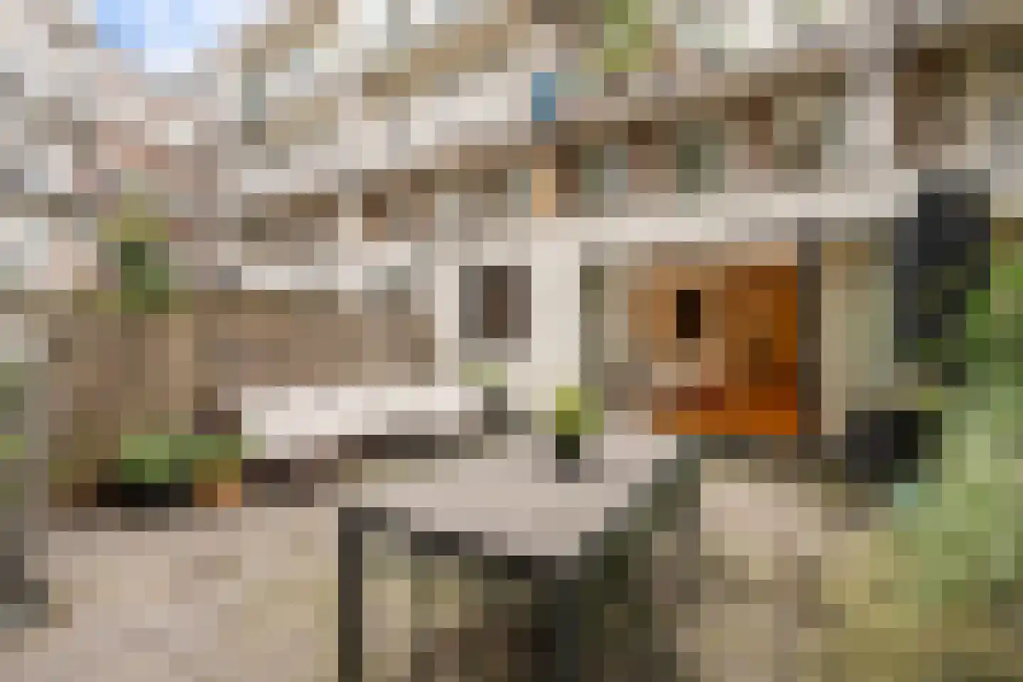 Stuyvesantstraat 47 H Amsterdam thumbnail 27