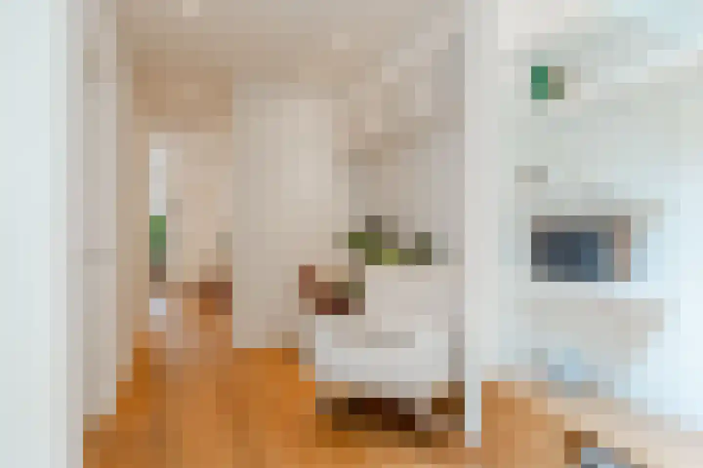 Stuyvesantstraat 47 H Amsterdam thumbnail 30