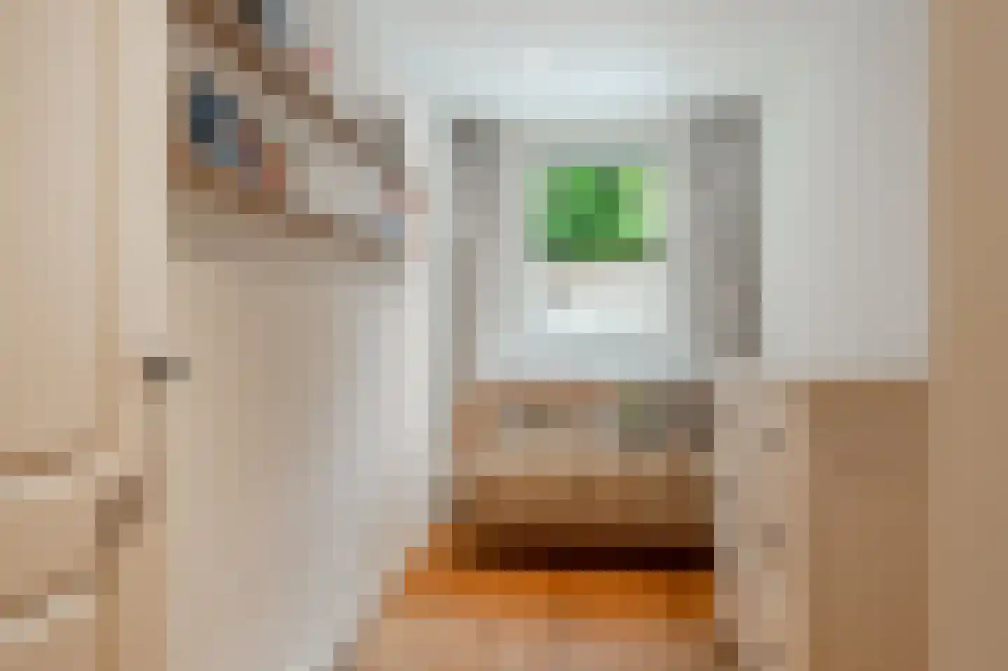 Stuyvesantstraat 47 H Amsterdam thumbnail 35